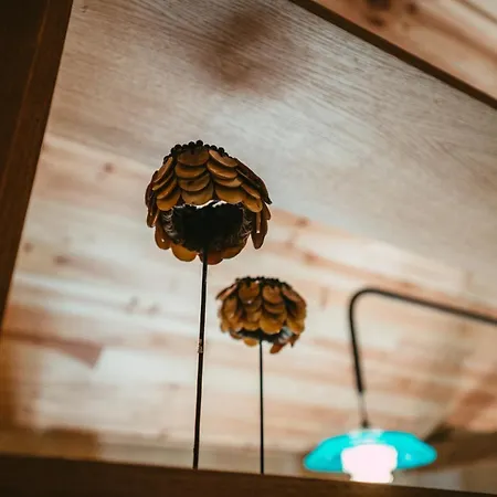 Apartament Domaine Boheme I Art De Vivre Guebwiller