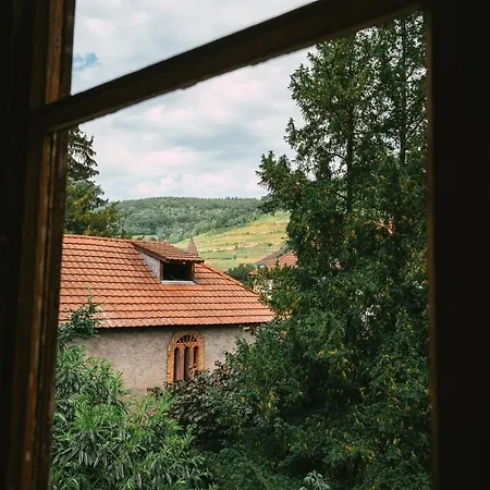 Apartament Domaine Boheme I Art De Vivre Guebwiller