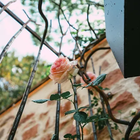 Domaine Boheme I Art De Vivre