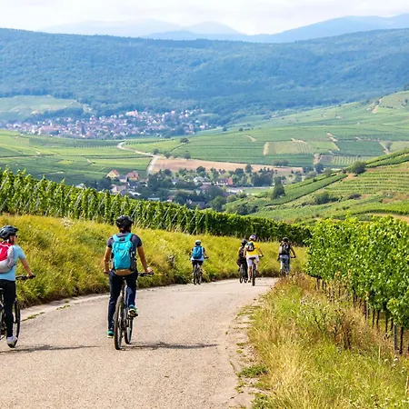 Domaine Boheme I Art De Vivre Guebwiller